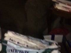 My vintage Attends diaper collection and wearing and using one