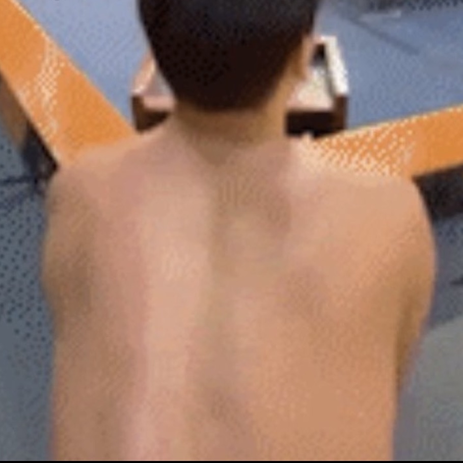 Senate gay sex video uncensored