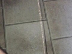 Relaxed piss on kitchen floor