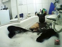Squeaky Clean...