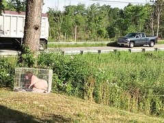 slut caged and left out days no food water