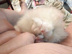 plush cum