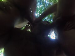 Pig sucking in the woods
