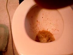 Girl pukes in toilet - video 2
