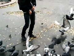 boy pissing on pigeons