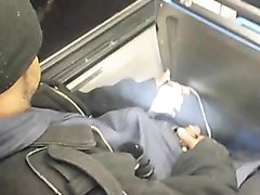 Pissing on a bus