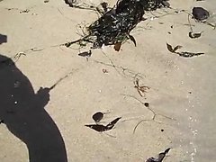 shadow pissing