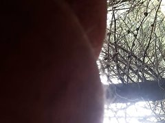 Woods5