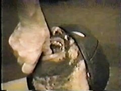 vintage - feeding a dirty nasty pig