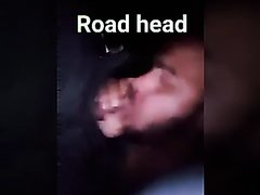 Wild Ride and Night Out