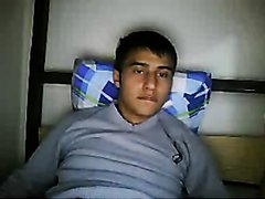 NoCum 33396