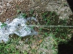 Desperate piss outside(ftm)