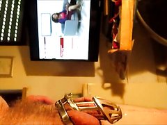 Schwein - video 10