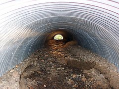 CULVERT SCAT