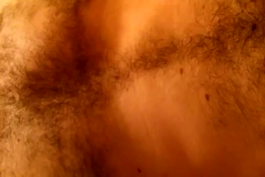 Hairy chest and shitting.