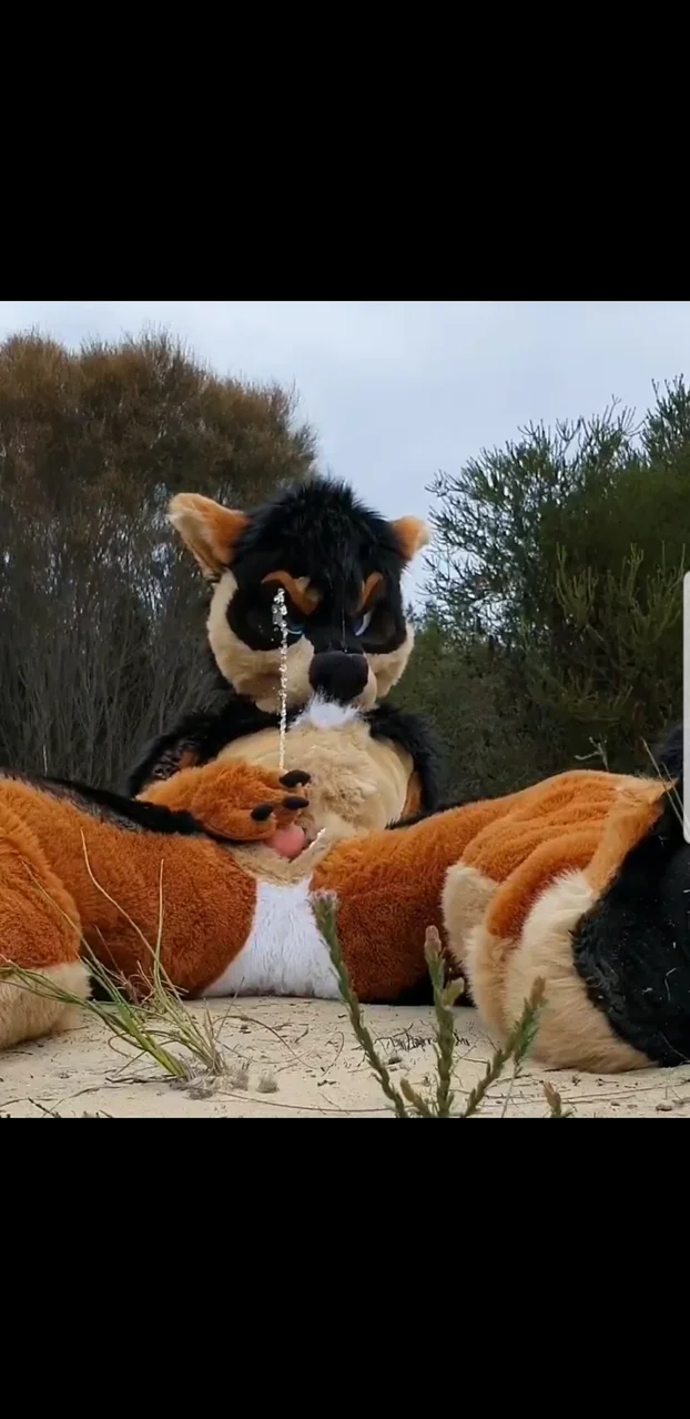 Fursuit Piss Recycling Thisvid My XXX Hot Girl