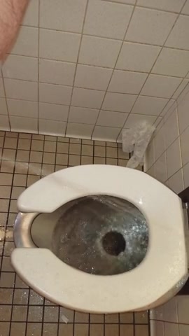 toilet mess - video 2