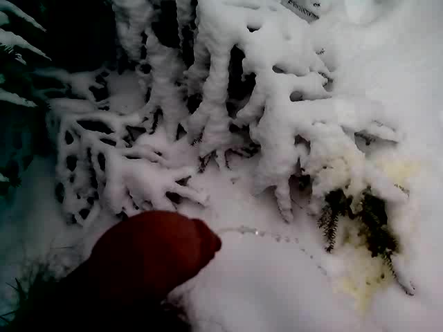 piss in the snow