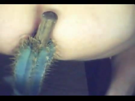 Cactus anal penis