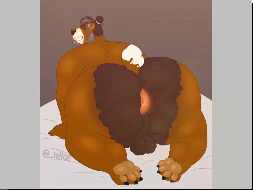 furry porn gay bear