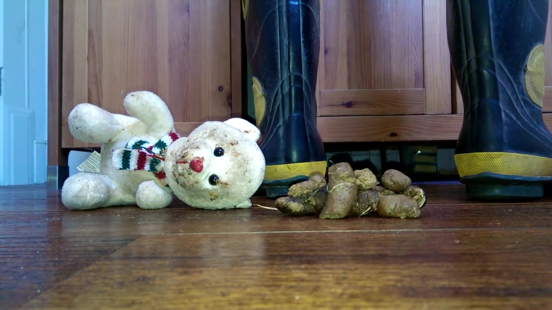 teddy bear stomp under poop