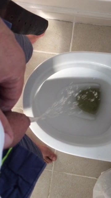 Desperate piss in the toilet
