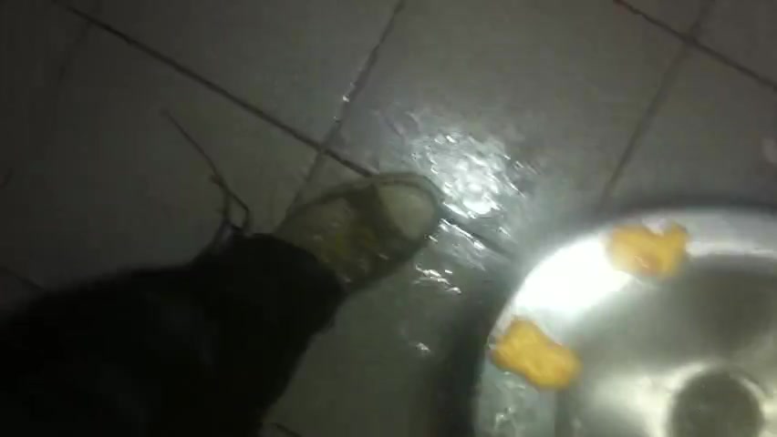 Eating nuggets off toilet