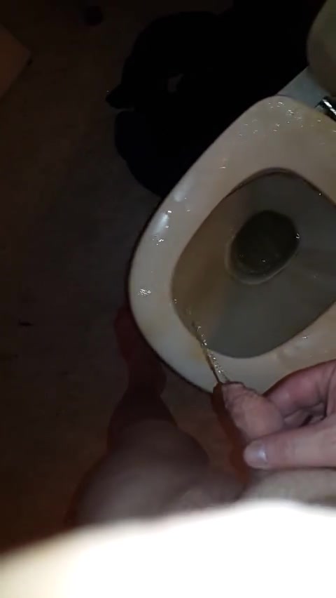 Piss over toilet and lick it clean