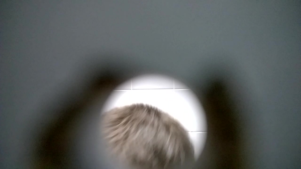 Spying 2 part 2 (face view)