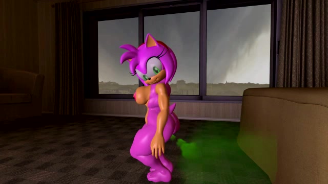 Amy Rose Apartment Farts
