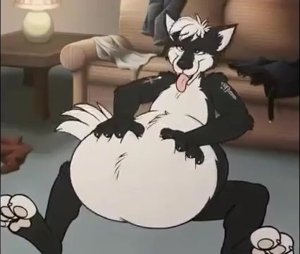 Wolf playing with his big belly - ThisVid.com