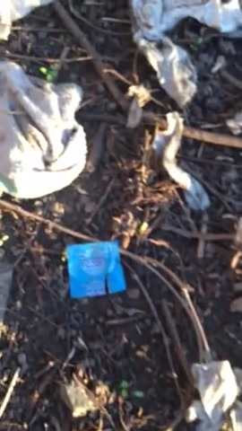 Used Condom Hunting - Forest Sowed Of Used Condoms And His Wrappers