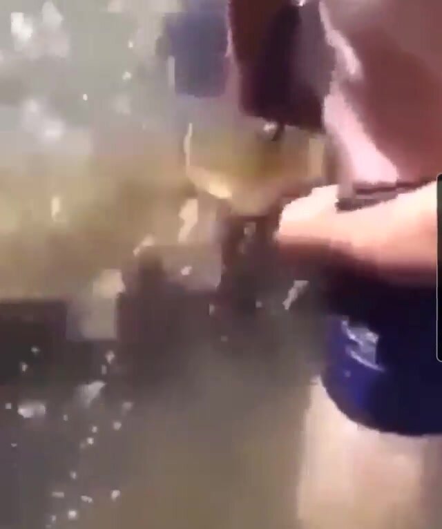 Girls Fucking By Fish Xxx Video - Man gets dick sucked by fish - ThisVid.com
