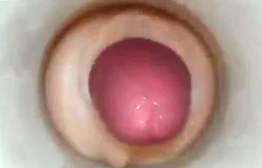432px x 240px - Inside a sex toy as the penis ejaculates - bizarre porn at ThisVid tube