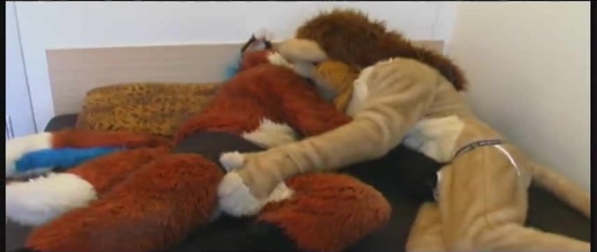 Furry Lioness Sex - Fox And Lion - ThisVid.com