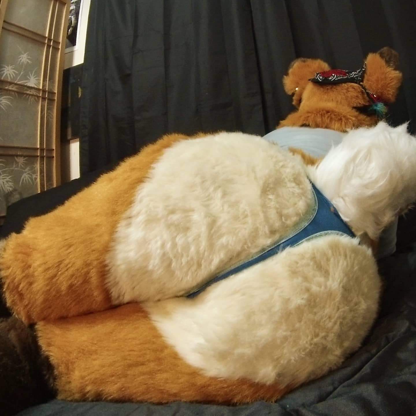 Furry Cosplay Porn Anal - Fursuit ass butts shake - ThisVid.com