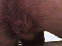 Cum Farts after breeded