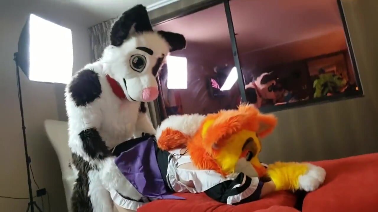 Real Furry Cosplay - Fursuit sex and creampie - ThisVid.com