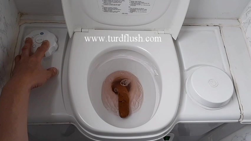 Flush turd caravan toilet - ThisVid.com