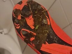 Muddy ... right after a game - video 4