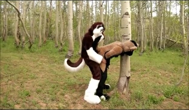 Furry Forest Porn - Huskies in the woods - ThisVid.com