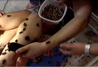 Japanese Girl with crickets and mill worms pt3 - ThisVid.com