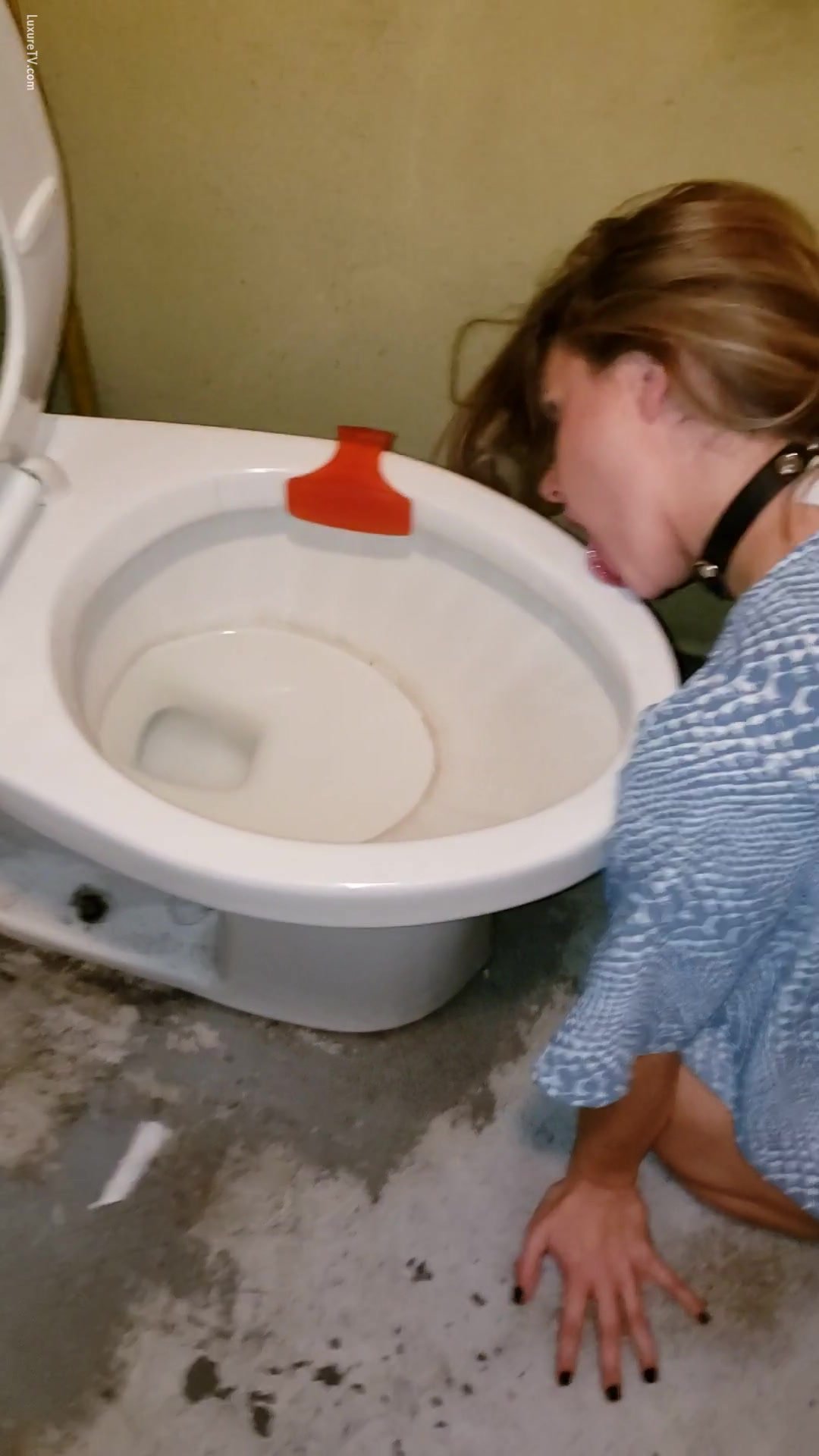 Dirty slut licking public toilet