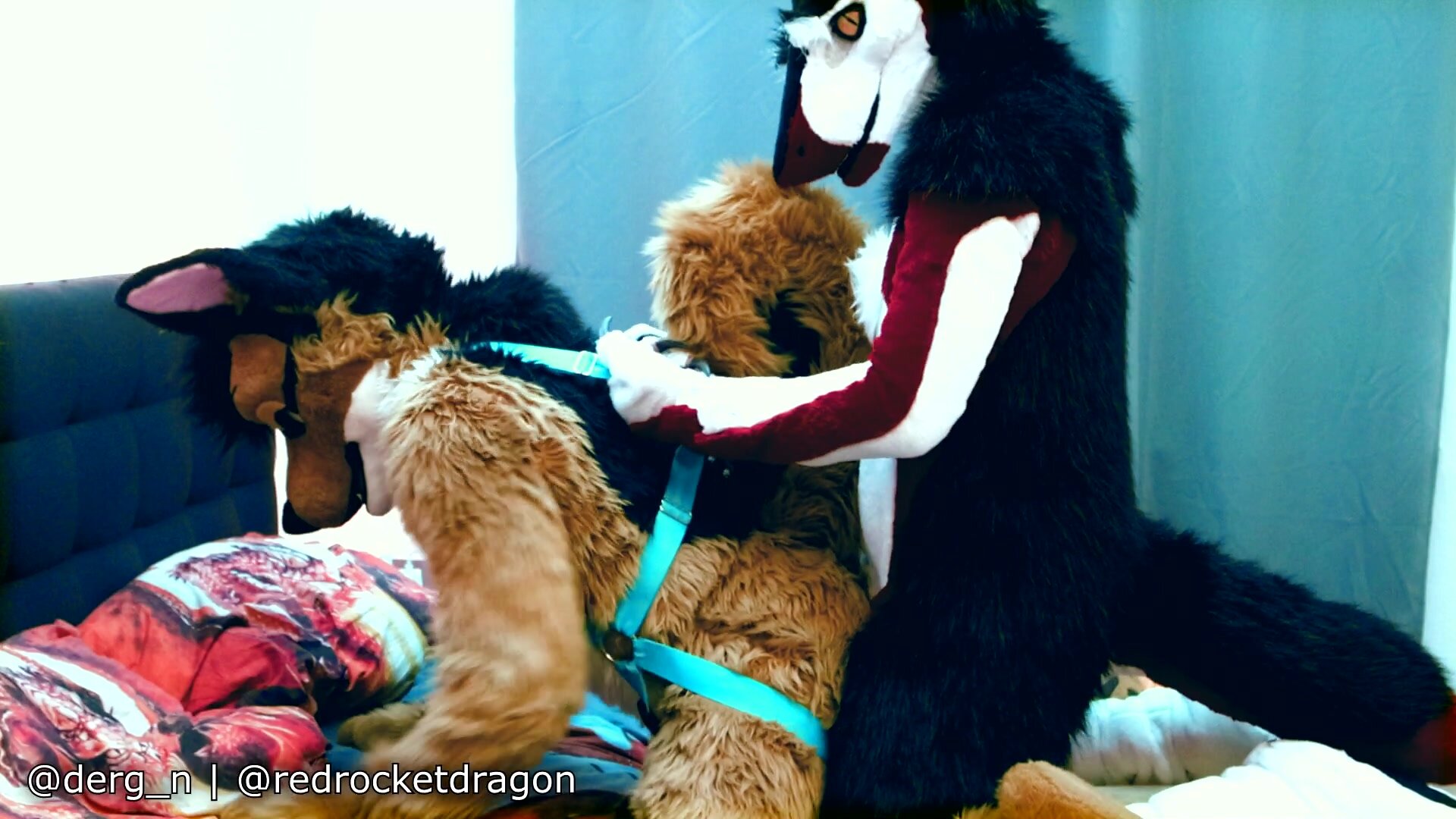 Fursuit Sex - video 29 - ThisVid.com