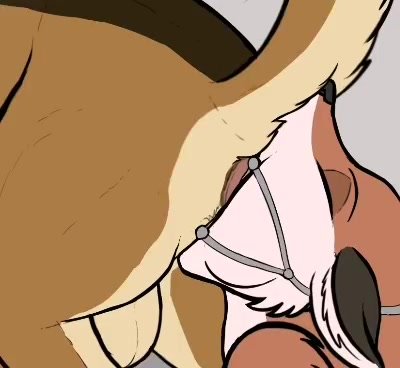Furry Scat Porn - Furry Yiff Scat Gif & Animations - ThisVid.com