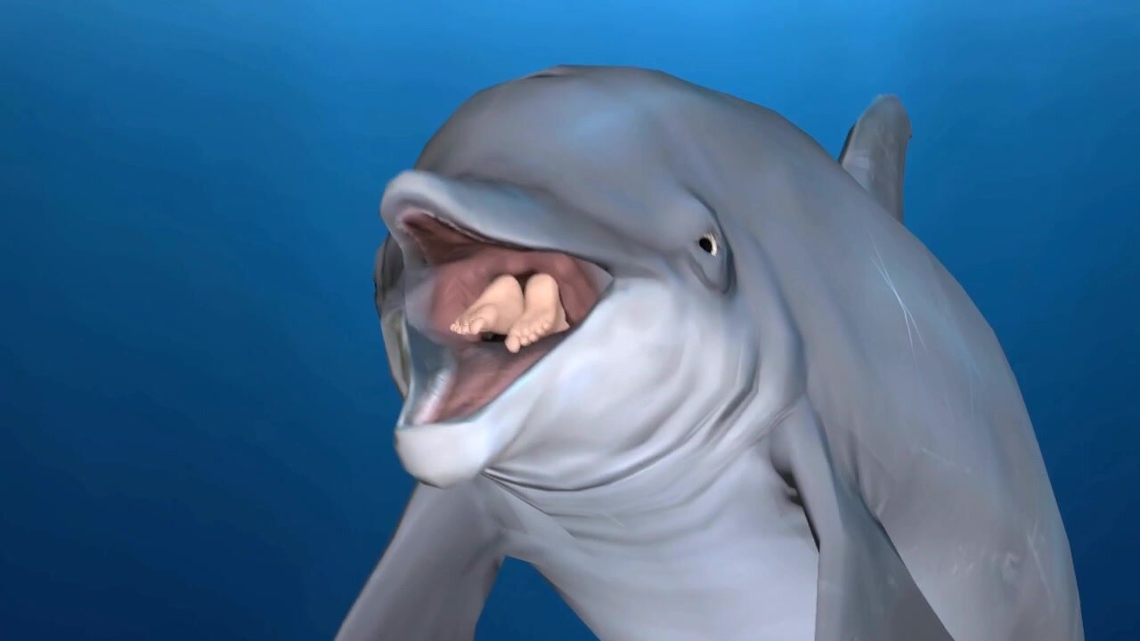 Dolphin vore.*byAmIafurryoramInotidkk
