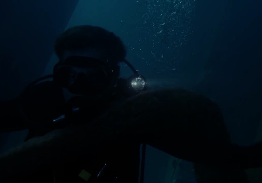 1024px x 716px - Scuba Diver Attacked by Giant Tentacle Monster - ThisVid.com