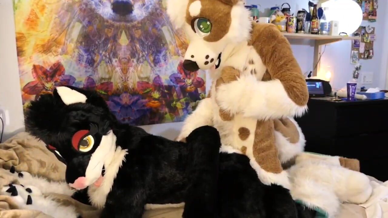 Fursuit sex - video 60 - ThisVid.com Türkçe