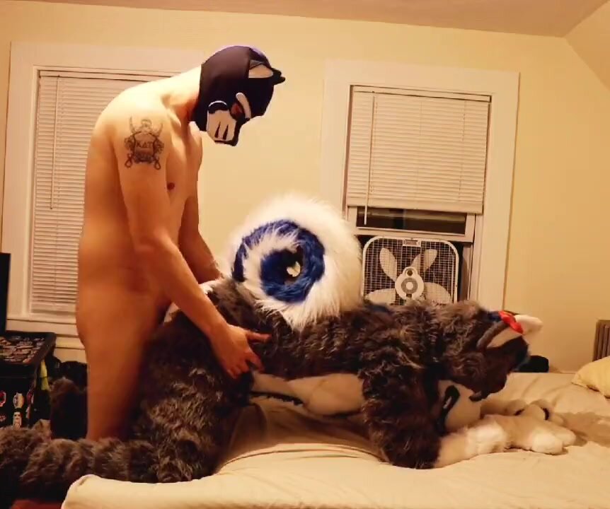 Gay Furry Cosplay Porn - Fursuit Gay Fuck - ThisVid.com