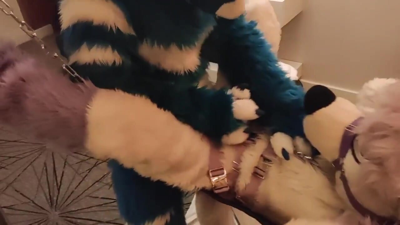 Fursuit sex - video 75 - ThisVid.com em inglês